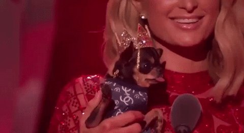 RT @iHeartRadio: STOP. Diamond Baby is so cute. We're crying. @ParisHilton #CutestPet #iHeartAwards2018 https://t.co/7oFKPMUdsv