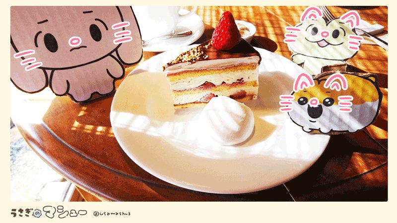 中京テレビでご覧になった方もありがとうございました!来週もおたのしみに!#うさぎのマシュー 中京テレビでご覧になった方もありがとうございました!来週もおたのしみに!#うさぎのマシュー