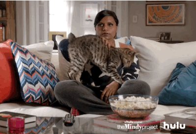 When I try to celebrate #NationalKittenDay. #TheMindyProject https://t.co/hInIELjbnV