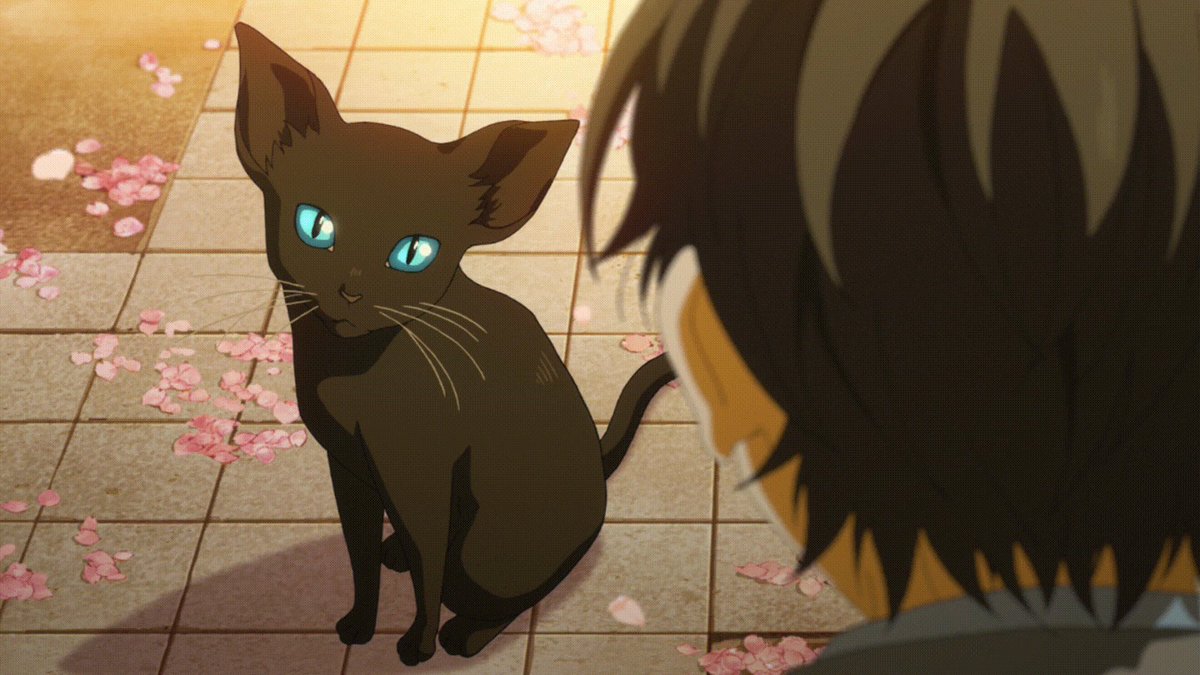 #黒猫感謝の日 にゃ~~#君嘘 #四月は君の嘘 #黒猫感謝の日 にゃ~~#君嘘 #四月は君の嘘