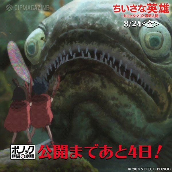 ⚡いよいよ8月24日《金》🦀カニーニと🦀カニーノの大冒険がはじまる!「#メアリと魔女の花」の #スタジオポノック が贈る ⚡いよいよ8月24日《金》🦀カニーニと🦀カニーノの大冒険がはじまる!「#メアリと魔女の花」の #スタジオポノック が贈る