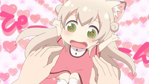 にゃんこデイズってアニメですよ٩(๑❛ᴗ❛๑)۶可愛くて癒されますし3分のショートアニメなのでよかったら見てくださいね にゃんこデイズってアニメですよ٩(๑❛ᴗ❛๑)۶可愛くて癒されますし3分のショートアニメなのでよかったら見てくださいね