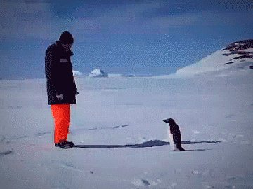 ペンギンハイウェイ ペンギンハイウェイ