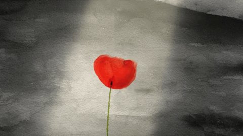 #ArmisticeDay100 #LestWeForget ❤️???? https://t.co/3d2YzZwWs2