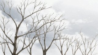 3045. 「충사(蟲師)」 3045. 「충사(蟲師)」