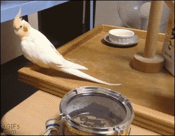 うん!うん!健全ロボ ダイミダラー 並に健全だよね^^; うん!うん!健全ロボ ダイミダラー 並に健全だよね^^;