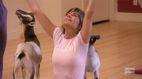RT @housewifegifs: The G.O.A.T GIF of a GOAT, and @lisarinna ???????????? @andy #RHOBH https://t.co/OqunrH7fz0