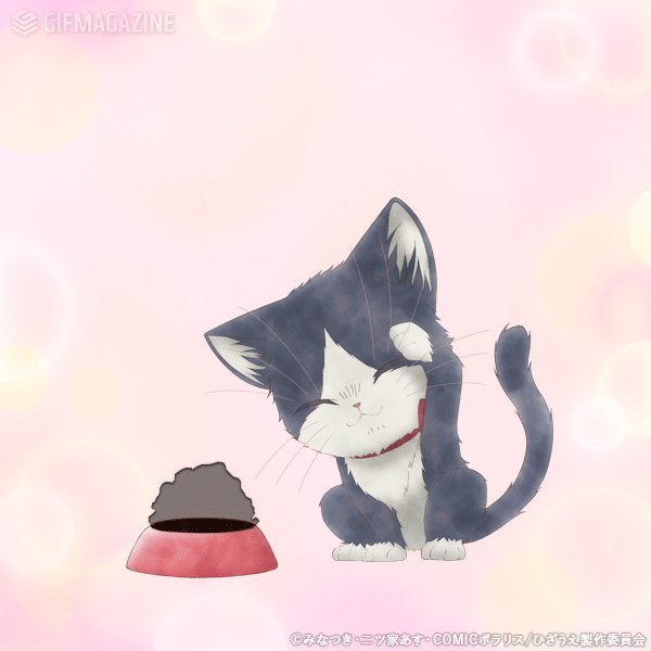 /Happy Valentine's Day!🐾\本日はバレンタインデーです!猫のハルはチョコを食べることができないので /Happy Valentine's Day!🐾\本日はバレンタインデーです!猫のハルはチョコを食べることができないので