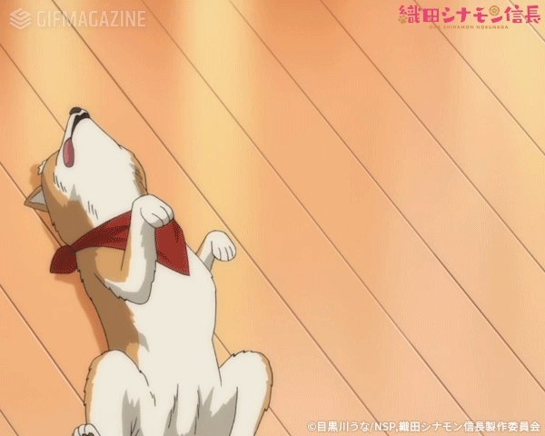 明日平日なんて嫌だ嫌だ嫌だ〜〜〜created by TVアニメ「織田シナモン信長」【公式】 #織田シナモン信長 #犬 明日平日なんて嫌だ嫌だ嫌だ〜〜〜created by TVアニメ「織田シナモン信長」【公式】 #織田シナモン信長 #犬