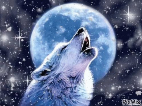 テン♬テン♬テンテテ天狼です😁💙💙万垢目指してます‼️💙💙フォローポチッとお願いします😊🐺🌕お願い#フォロー#固定ツイー テン♬テン♬テンテテ天狼です😁💙💙万垢目指してます‼️💙💙フォローポチッとお願いします😊🐺🌕お願い#フォロー#固定ツイー