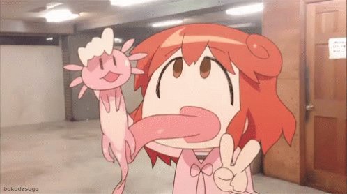 あいまいみーぐらいのノリで軽率かつ無感情にぺろぺろしていきますね🦎👅✌ あいまいみーぐらいのノリで軽率かつ無感情にぺろぺろしていきますね🦎👅✌