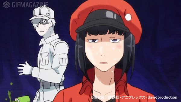 【今週のハイライト】#はたらく細胞 アニメ第1期の本編を使用したGIFアニメをGIFMAGAZINEにて毎週更新!各話か 【今週のハイライト】#はたらく細胞 アニメ第1期の本編を使用したGIFアニメをGIFMAGAZINEにて毎週更新!各話か