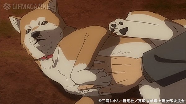 箱根駅伝が記憶に新しいなか『いとしのムーコ』もYouTubeで配信されているので、言わせてほしい(U^ω^)↓祖師ヶ谷大 箱根駅伝が記憶に新しいなか『いとしのムーコ』もYouTubeで配信されているので、言わせてほしい(U^ω^)↓祖師ヶ谷大