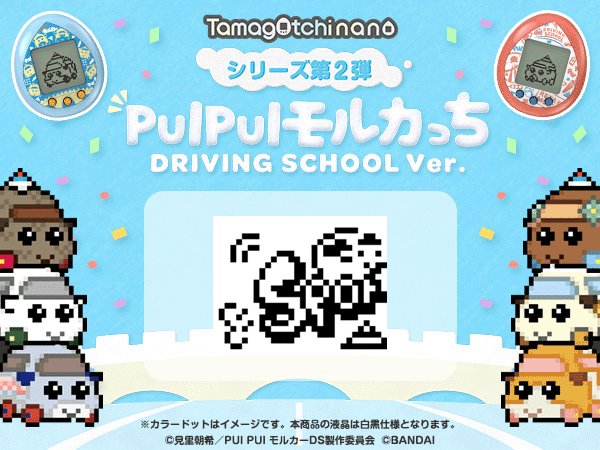 PUI PUI モルカっち DRIVING SCHOOL Ver. 発売中💫スポーツデイでシャーリーが大奮闘！頑張ると他