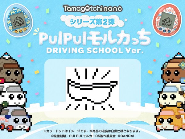 PUI PUI モルカっち DRIVING SCHOOL Ver. 発売中✌️モルカっちでVR講習体験！特定のキャラで何