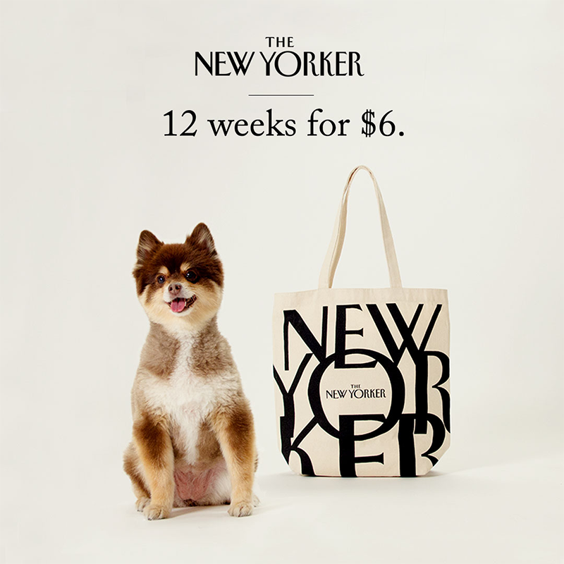New yorker subscription free tote new arrivals