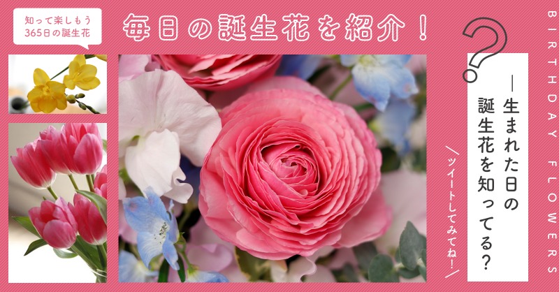 ナギサカ サブ V Twitter 4月8日の誕生花 シバザクラ お誕生日おめでとうございます 花言葉 は 耐える力 春に美しいピンクや白の花を咲かせます あなたはこんな人 自分の思うままに進んでいきたいタイプ T Co Uhikfhxj4m 花キューピット