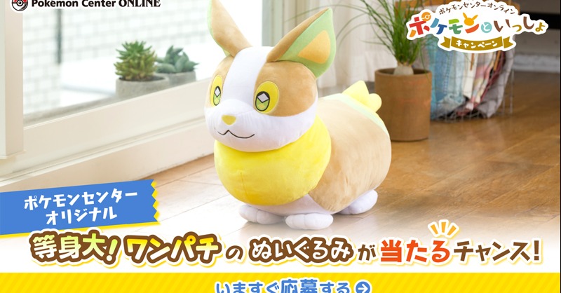 ポケモン 等身大ワンパチぬいぐるみ ポケモンセンター限定