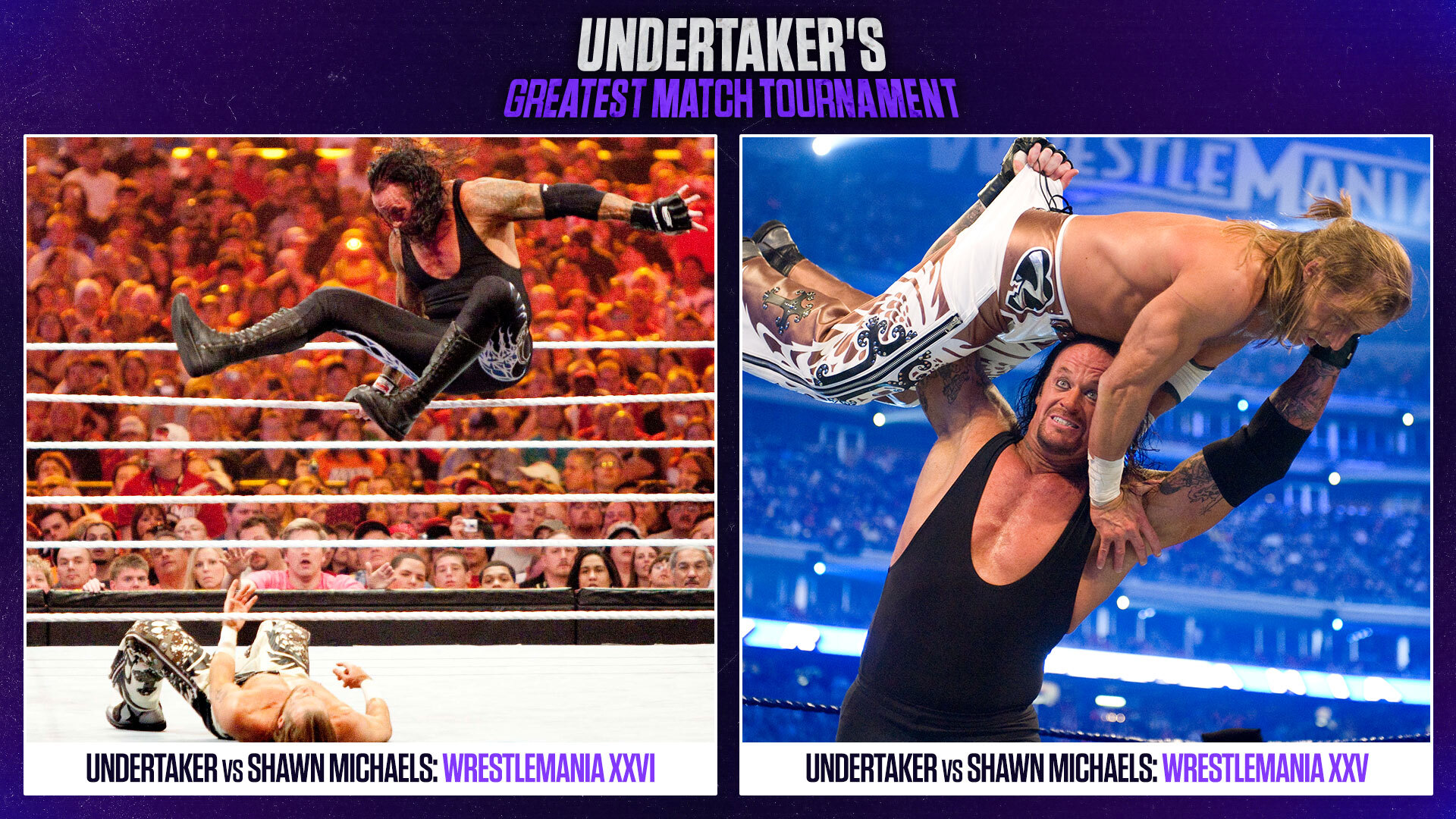 wwe shawn michaels vs undertaker