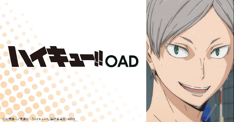 Gyao アニメ アニメ ハイキュー 烏野高校vs白鳥沢学園高校 Oad 特集 春高バレーに賭けた青春 Gyao で無料配信開始 春高 に挑んだ選手たちの熱きドラマが 蘇る 21 01 03 日 まで Animehaikyu Com Haikyu Com ハイキュー