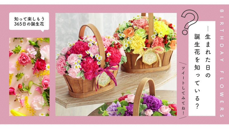 تويتر 花キューピット I879 Com 公式 على تويتر 4月9日 お誕生日おめでとうございます あなたは生まれた日の 誕生花を知ってる ぜひツイートしてみてね 花キューピット フォロワー誕生花教えて