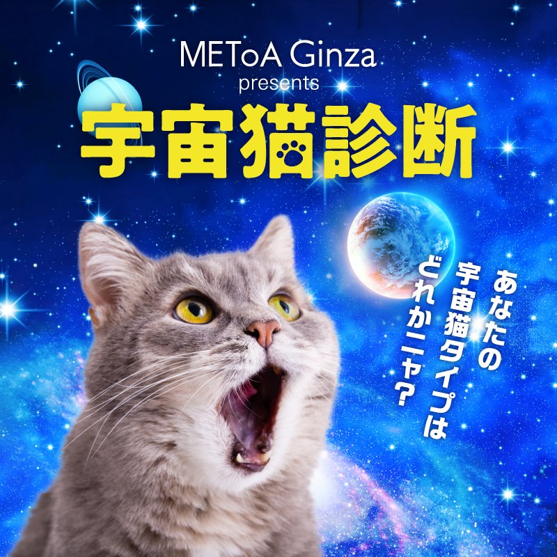 Metoa Ginza メトアギンザ あの 宇宙猫 が診断に あなたはどんな宇宙猫タイプかな 宇宙イベント開催中のmetoa Ginzaがお送りします 猫 ねこ ネコ 宇宙猫 宇宙 Metoaginza Twitter
