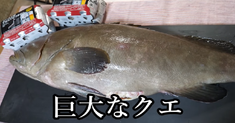 アサヒビール Asahibeer 銀色のヤツ きまぐれクック タイアップ動画第十二弾 今回は超巨大クエを冷しゃぶに 白身魚のクエに できたての銀色のヤツ はもちろん相性抜群 できたての銀色のヤツ と相性抜群の白身魚で乾杯してみてくださいね