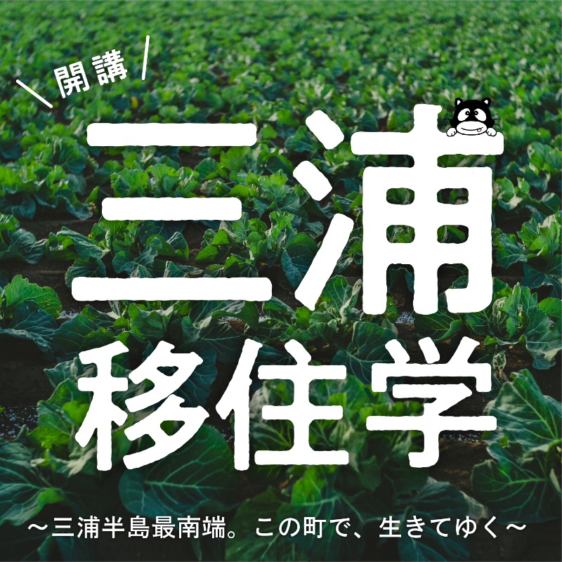 三浦で トゥクトゥク をレンタルすれば 移動の時間 も楽しい旅がはじまる Gooone ゴーン