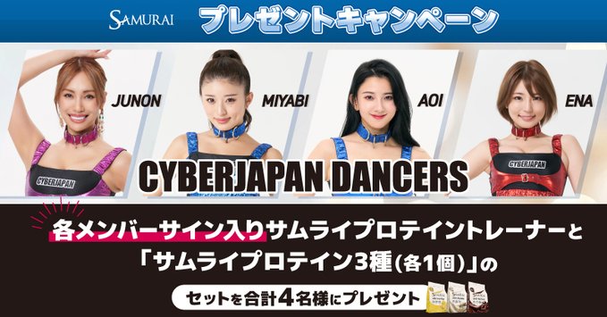 cyberjapan 