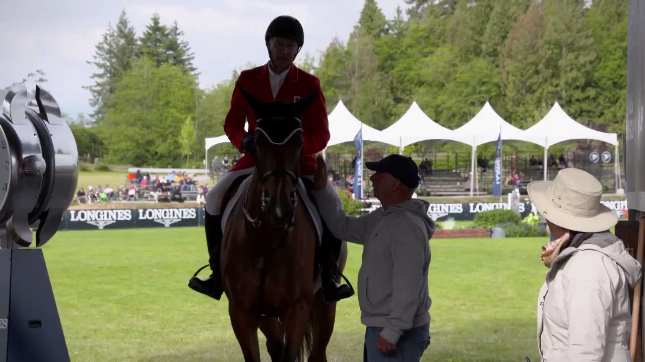 The FEI on Twitter "Ever wondered what it takes to be a groom? 🤔