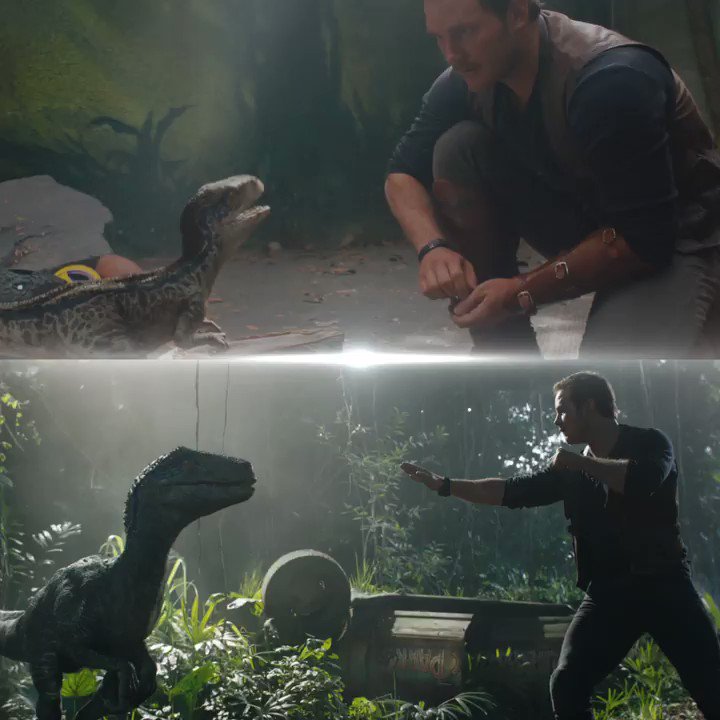 28 Best ジュラシック ワールド Images On Pholder When Dinosaurs Ruled The Earth N N ジュラシックシリーズ25周年 N ジュラシック ワールド 28 Best ジュラシック ワールド Images On Pholder When Dinosaurs Ruled The Earth N N ジュラシックシリーズ25周年 N ジュラシック ワールド