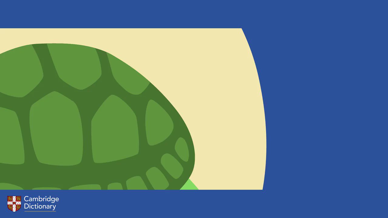 Cambridge Dictionary On Twitter Our Wotd Today Is Tortoise Do You Know How To Pronounce It Https T Co Ouyrgrvsfx Https T Co Tvpixabkpz Twitter