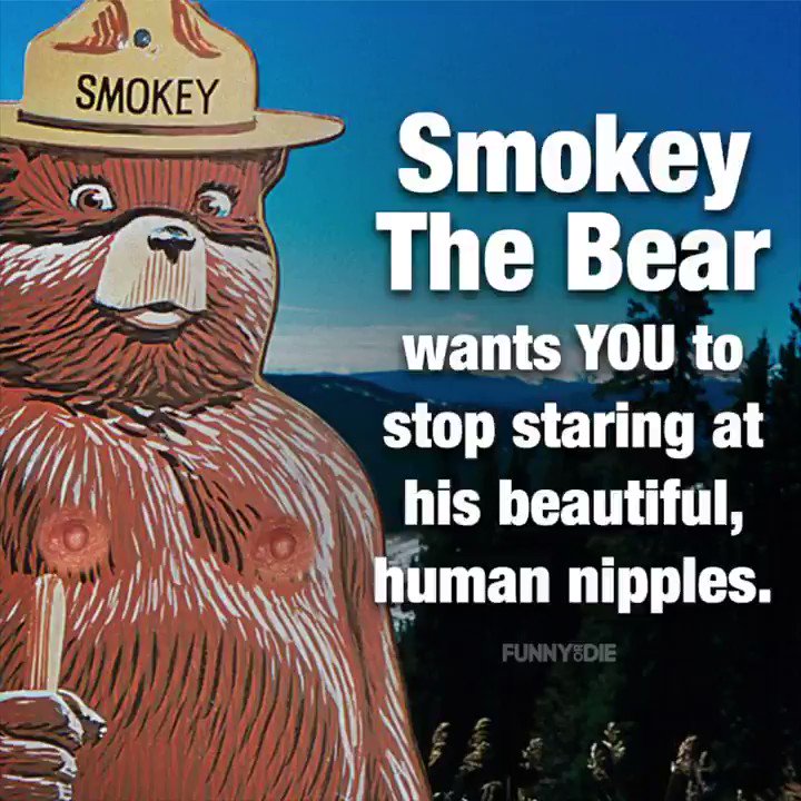 Smokey The Bear. 