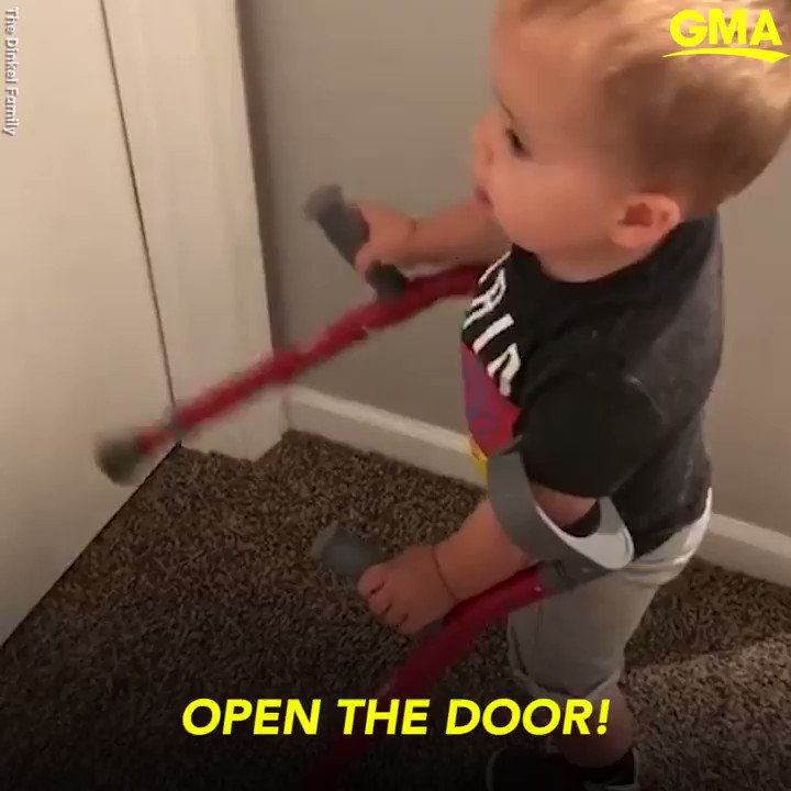 Good Morning America (@GMA) on Twitter photo 2018-08-14 20:00:00 Look, Maggie! Im walking, Maggie! Toddler with spina bifida warms hearts after showing his dog he can walk: gma.abc/2B4spRa Look, Maggie! Im walking, Maggie! Toddler with spina bifida warms hearts after showing his dog he can walk: gma.abc/2B4spRa