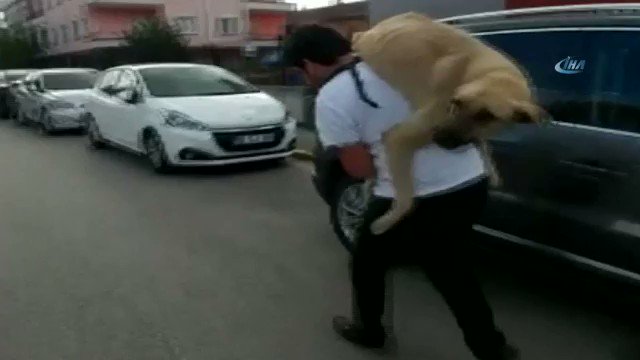 Hasta köpeği sırtında taşıdı ► https://buff.ly/2xE2efj