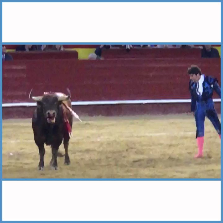 Animals bleed to death inside a stadium while humans cheer 😰 How are bullfights STILL happening?! https://t.co/OM0R1jjHBw