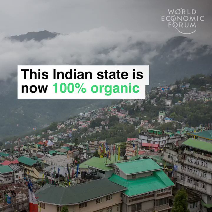 The Indian state of Sikkim is now 100% organic.
No fertilizer. No pesticides. Demand for organic food grew 16% globally last year. India has highest percentage of organic farming anywhere in the world. Hats off!