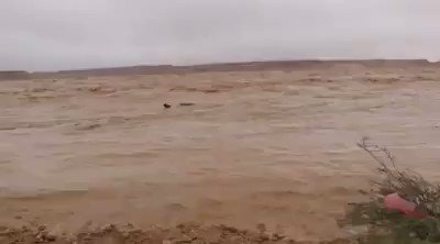 熱帯サイクロンが砂漠にもたらした大雨 洪水のなか泳ぐラクダ ネッシーそっくり 動画 Hcc Date Box