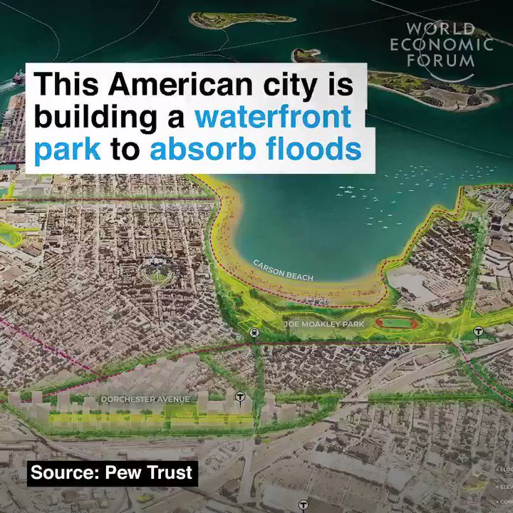 A sustainable solution to rising sea levels.
Read more: https://wef.ch/2DIJ3GH #sustainability #environment