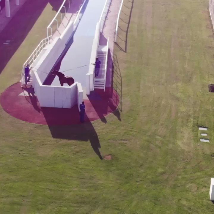 Tanya Burns (MrsTanyaBurns) / Twitter