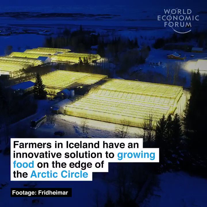 Geothermal tomatoes. Read more: https://wef.ch/2EaGyNx #innovation #nature