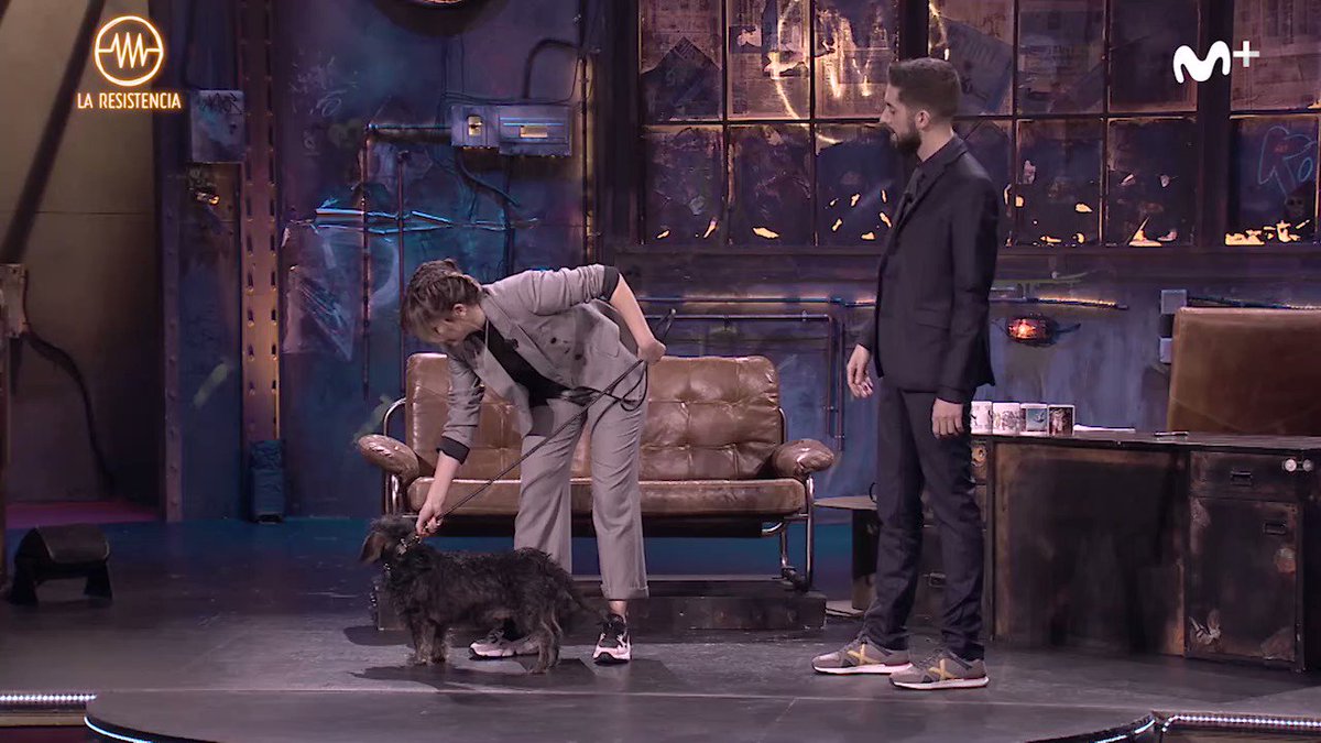 Llega a tener ébola el perrete y tenemos un disgusto. #LaResistencia