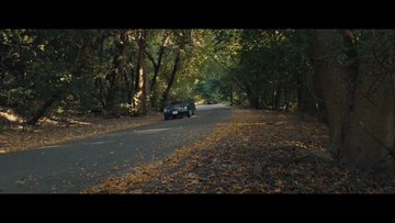 Video insertado