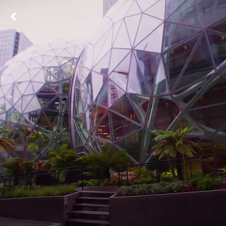 Amazon’s botanical park transforms cubicle life into something beautiful.