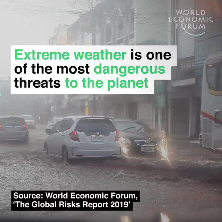 And it's getting worse. Read more: https://wef.ch/2sxZL40 #nature #environment
