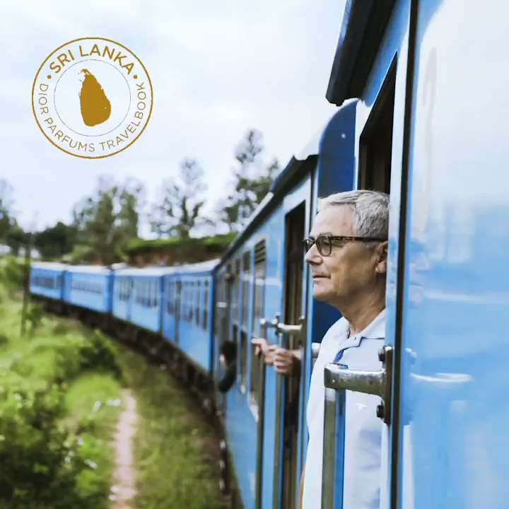 FRANÇOIS DEMACHY’S TRAVELBOOK – SANDALWOOD IN SRI LANKA: “Heading off to Sri Lanka to discover one of the finest olfactory ingredients. At the heart of the forest, I am surrounded by new olfactory sensations.” #diorparfums #francoisdemachy