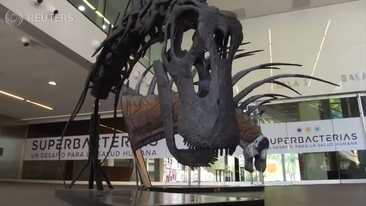 ICYMI: A 140-million-year-old dinosaur unearthed in Patagonia is a window into little-known parts of the creatures' evolution
