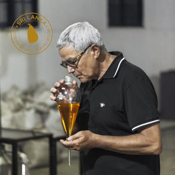 FRANÇOIS DEMACHY DIOR PERFUMER CREATOR’S TRAVELBOOK – SANDALWOOD IN SRI LANKA: “In Sri Lanka, there is a strong link between the people and sandalwood. It is rooted in the culture and religion.” #francoisdemachy #diorparfums