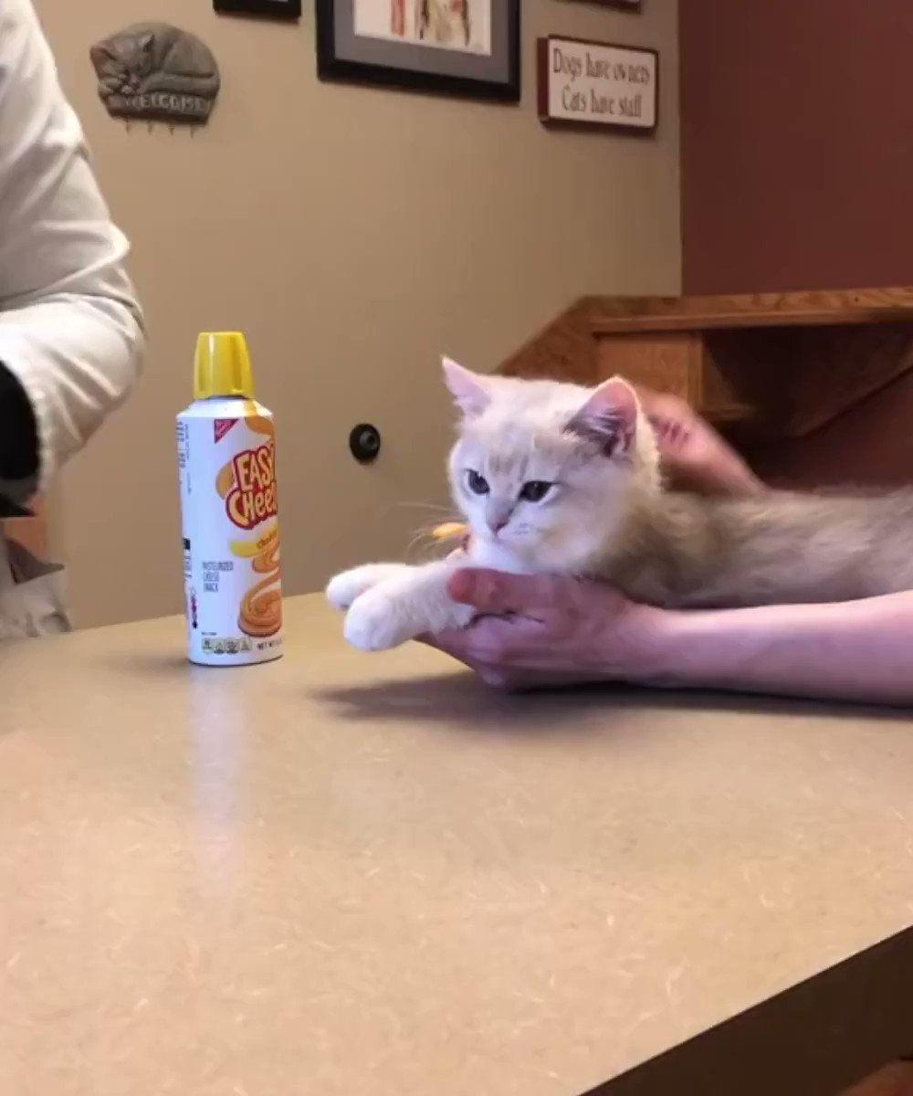 "Who poked me?"