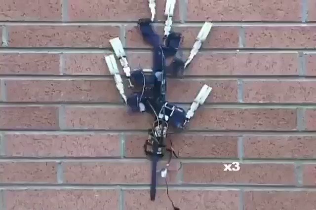 This #robot can crawl walls like Spiderman (no suction included) 😲
#AI #Robotic #MachineLearning #IoT #tech
@kuriharan @alvinfoo @JacBurns_Comext @YvesMulkers @Intellectgenie @Ronald_vanLoon @cybersecboardrm @Fisher85M @vinod1975 @jblefevre60 @labordeolivier @EnjoyDigitAll